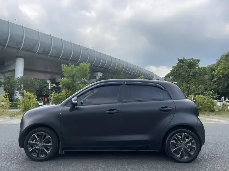 2019 Ora Black Cat с пробегом 98 000 км