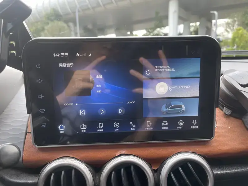 2019 Ora Black Cat с пробегом 98 000 км
