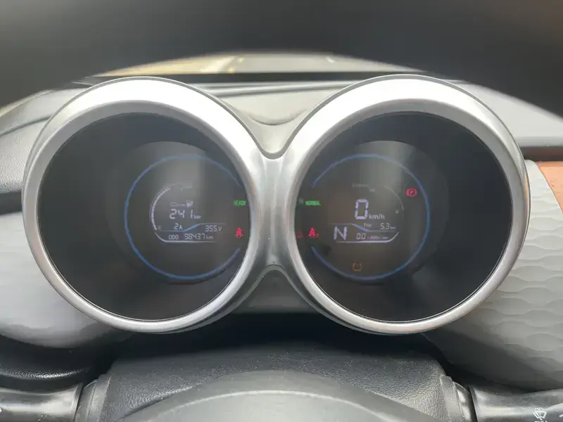 2019 Ora Black Cat с пробегом 98 000 км