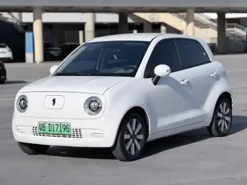 2019 Ora Black Cat с пробегом 2 400 км