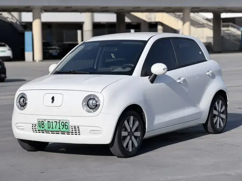2019 Ora Black Cat с пробегом 2 400 км