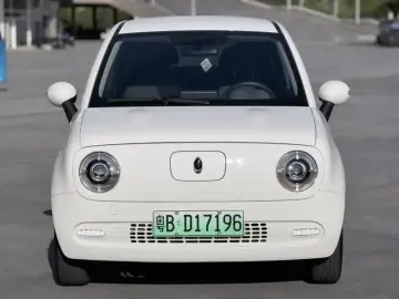 2019 Ora Black Cat с пробегом 2 400 км
