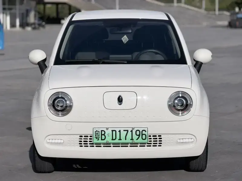 2019 Ora Black Cat с пробегом 2 400 км