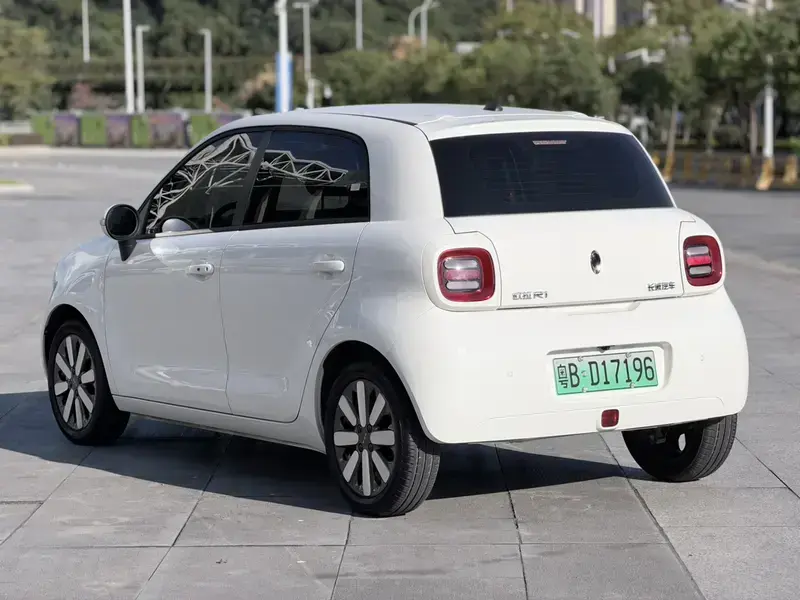 2019 Ora Black Cat с пробегом 2 400 км