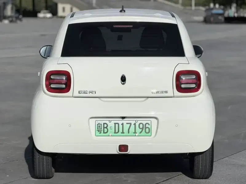 2019 Ora Black Cat с пробегом 2 400 км