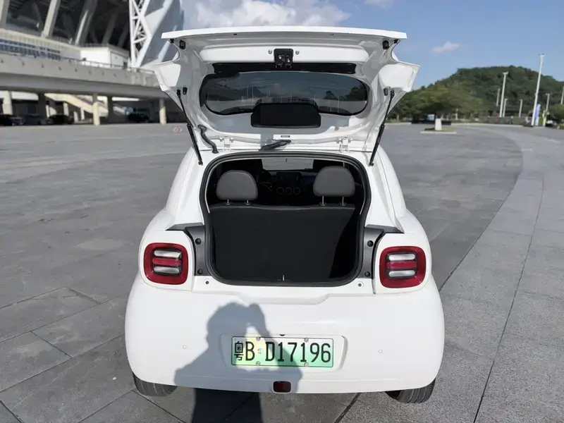 2019 Ora Black Cat с пробегом 2 400 км