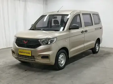 Wuling Hongguang V