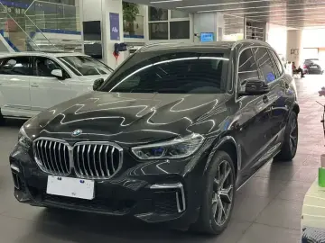 BMW X5 New Energy(Imported)