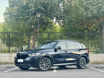 BMW X5 New Energy(Imported)