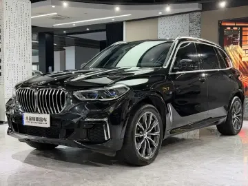 BMW X5 New Energy(Imported)