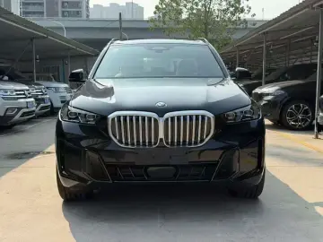 2026 BMW X5 New Energy(Imported) с пробегом 100 км