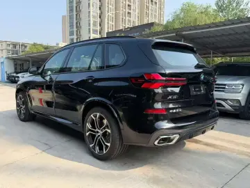 2026 BMW X5 New Energy(Imported) с пробегом 100 км