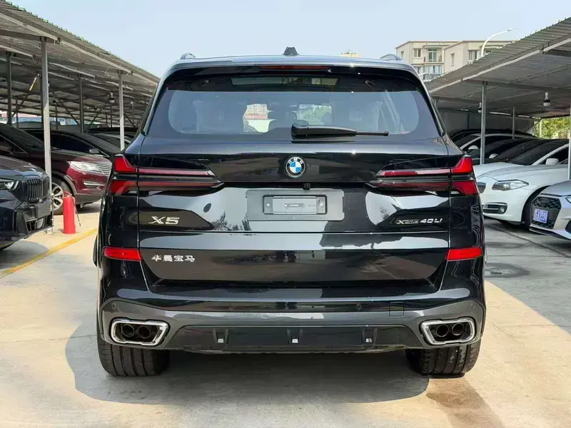 2026 BMW X5 New Energy(Imported) с пробегом 100 км