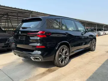 2026 BMW X5 New Energy(Imported) с пробегом 100 км
