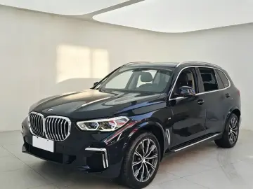 BMW X5 New Energy(Imported)