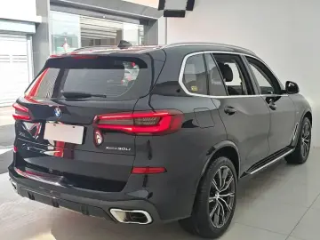 2022 BMW X5 New Energy(Imported) с пробегом 43 000 км