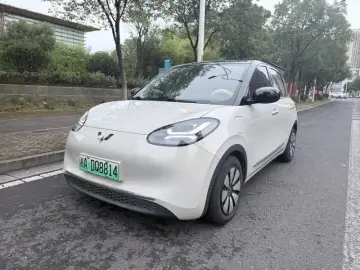 Wuling Binguo