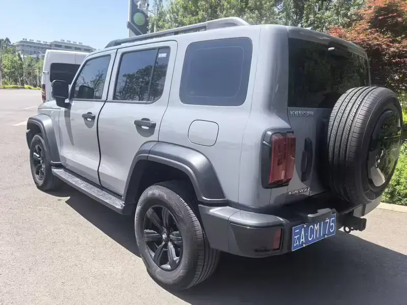 2024 Crossboundary Auto Co-created Tank 300 с пробегом 76 000 км