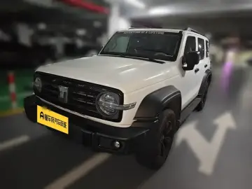 Crossboundary Auto Co-created Tank 300
