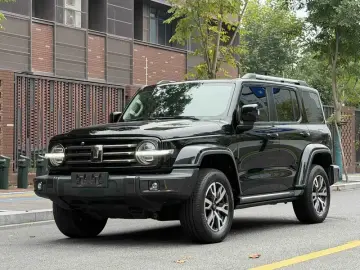 Crossboundary Auto Co-created Tank 300