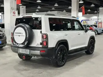 2024 Haval Menglong PLUS с пробегом 20 000 км