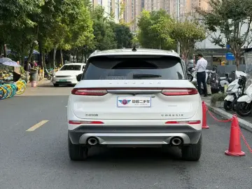 2022 Lincoln Adventurer NEV с пробегом 61 000 км
