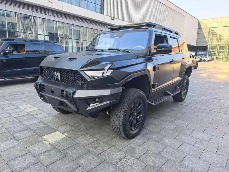2023 Mengshi 917 с пробегом 19 000 км