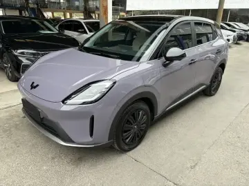 Wuling Wuling Bingo S