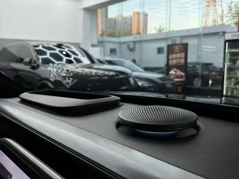 2024 Smart #5 с пробегом 30 000 км