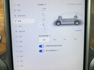 2019 Tesla Model X с пробегом 220 000 км
