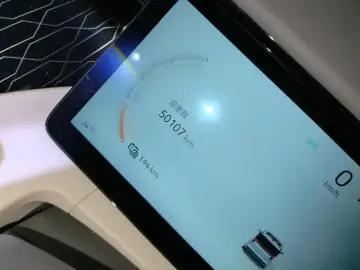 2023 Zeekr 009 с пробегом 50 000 км