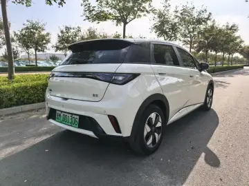 2025 BYD Dolphin с пробегом 49 800 км