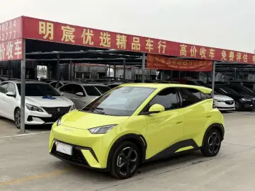 BYD Seagull