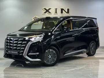 Denza D9