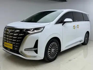 Denza D9