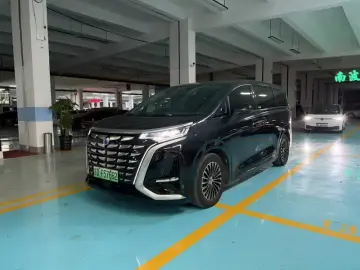 Denza D9