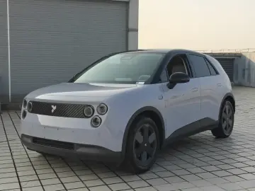 Nio Firefly