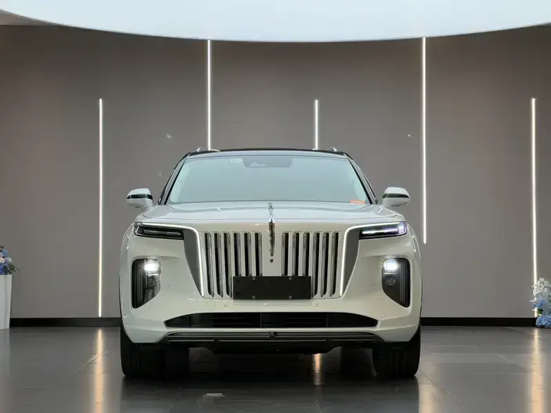 2020 Hongqi E-HS9 с пробегом 60 000 км