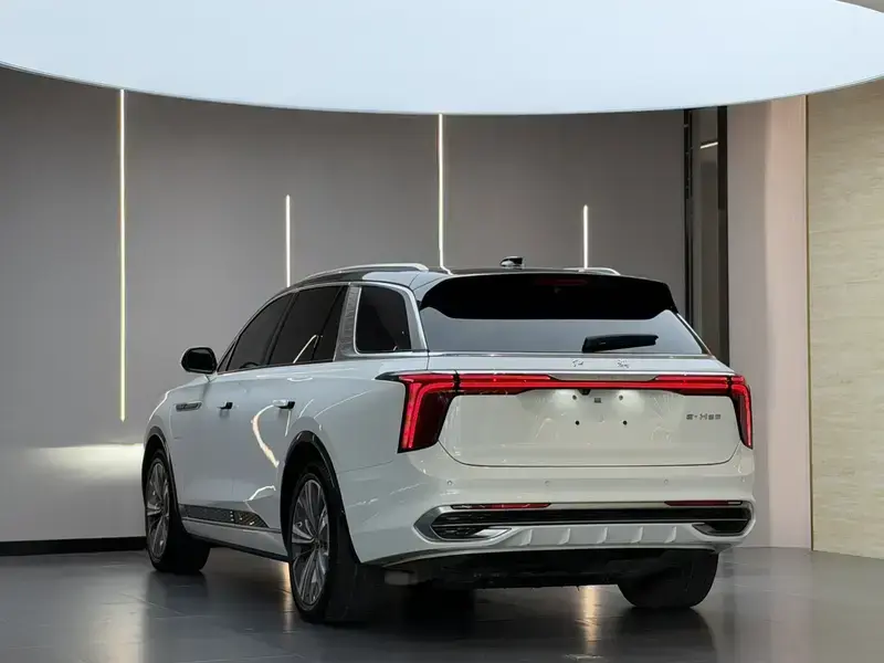2020 Hongqi E-HS9 с пробегом 60 000 км