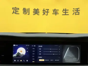 2022 Hongqi E-HS9 с пробегом 20 000 км