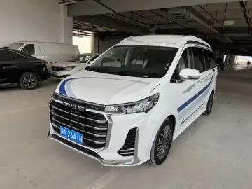 Maxus G20