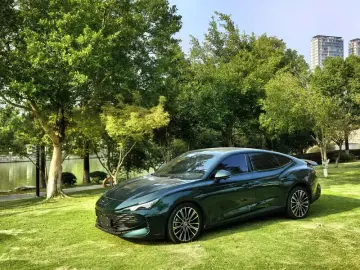 MG 7