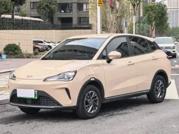 Hozon Neta Aya