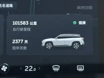2019 Nio ES6 с пробегом 101 000 км