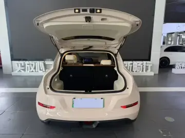 2023 Ora Good Cat с пробегом 10 000 км