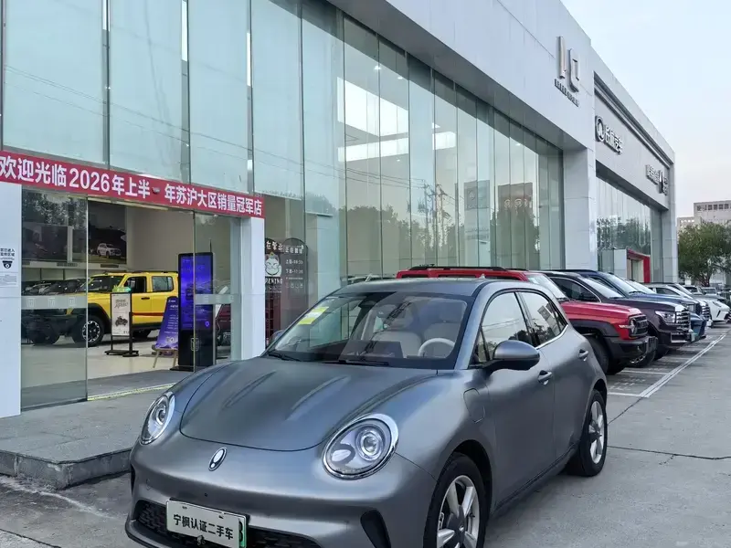 2025 Ora Good Cat с пробегом 4 100 км