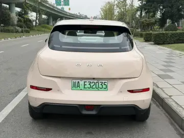 2022 Ora Good Cat с пробегом 51 000 км