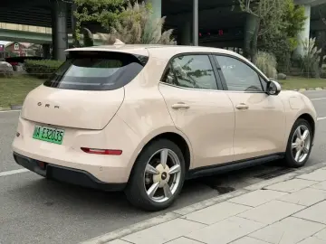 2022 Ora Good Cat с пробегом 51 000 км