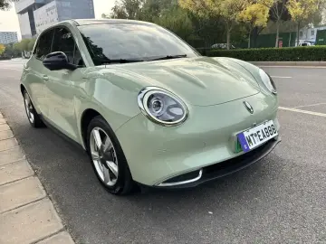 2022 Ora Good Cat с пробегом 59 000 км