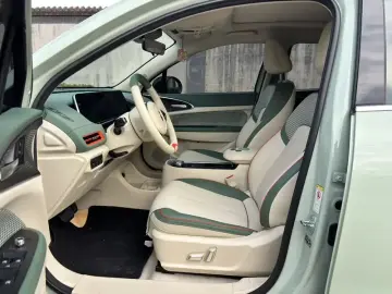 2022 Ora Good Cat с пробегом 59 000 км